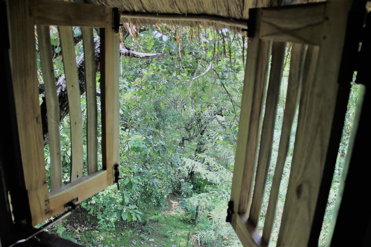 Wildescape Polonnaruwa Villa Exterior photo