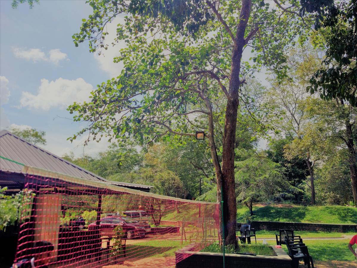 Wildescape Polonnaruwa Villa Exterior photo
